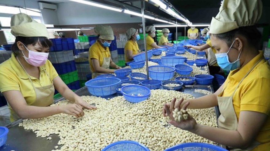 Vietnam Cashew Association lowers export target amid weak demand